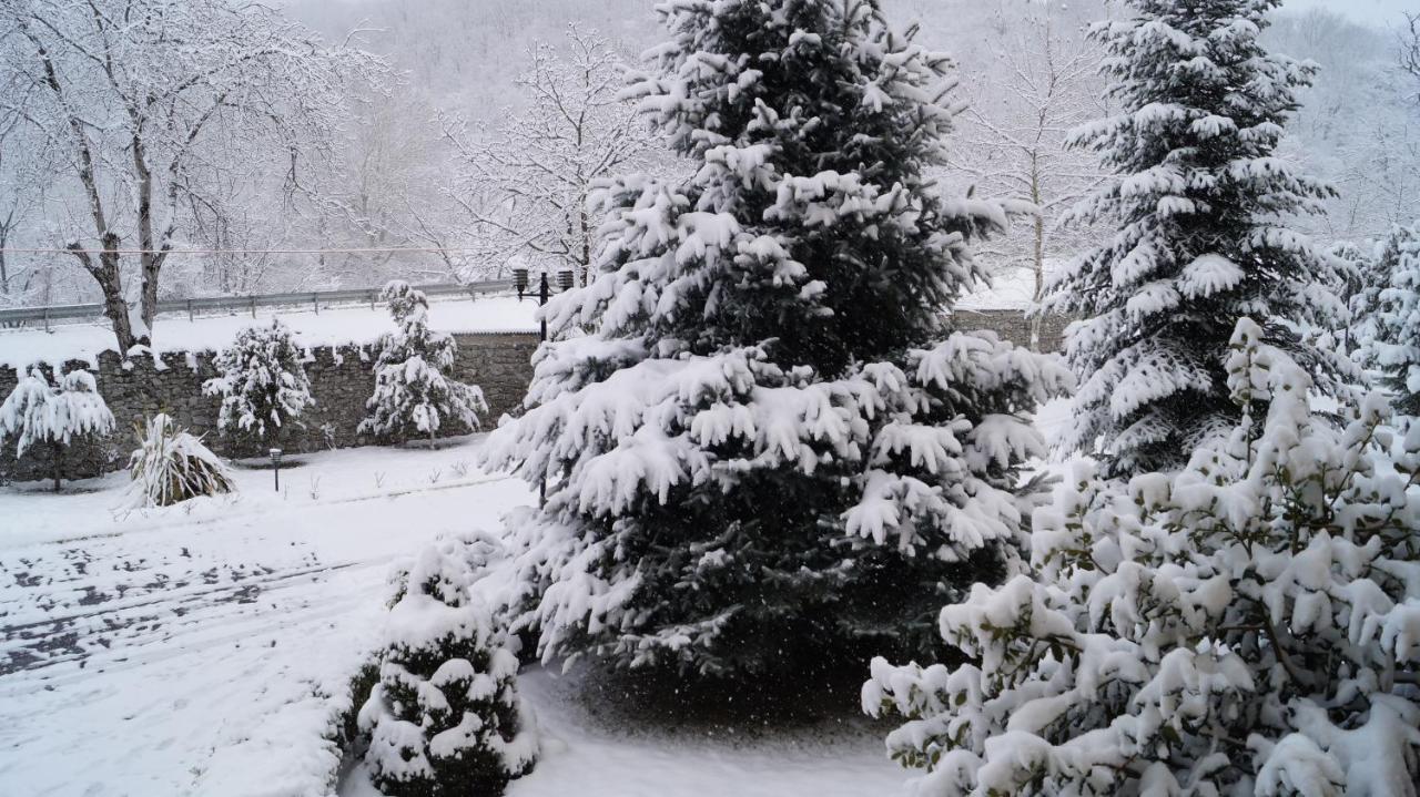 Gabala Yeddi Gozel Hotel Exterior photo