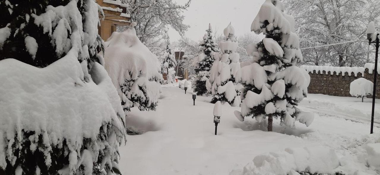 Gabala Yeddi Gozel Hotel Exterior photo